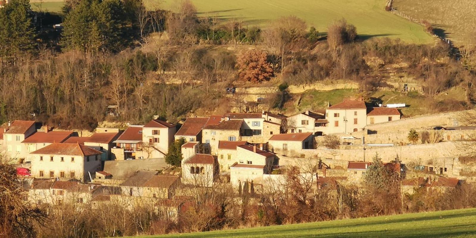 Le Logis D'Hortense Vic-le-Comte Eksteriør billede