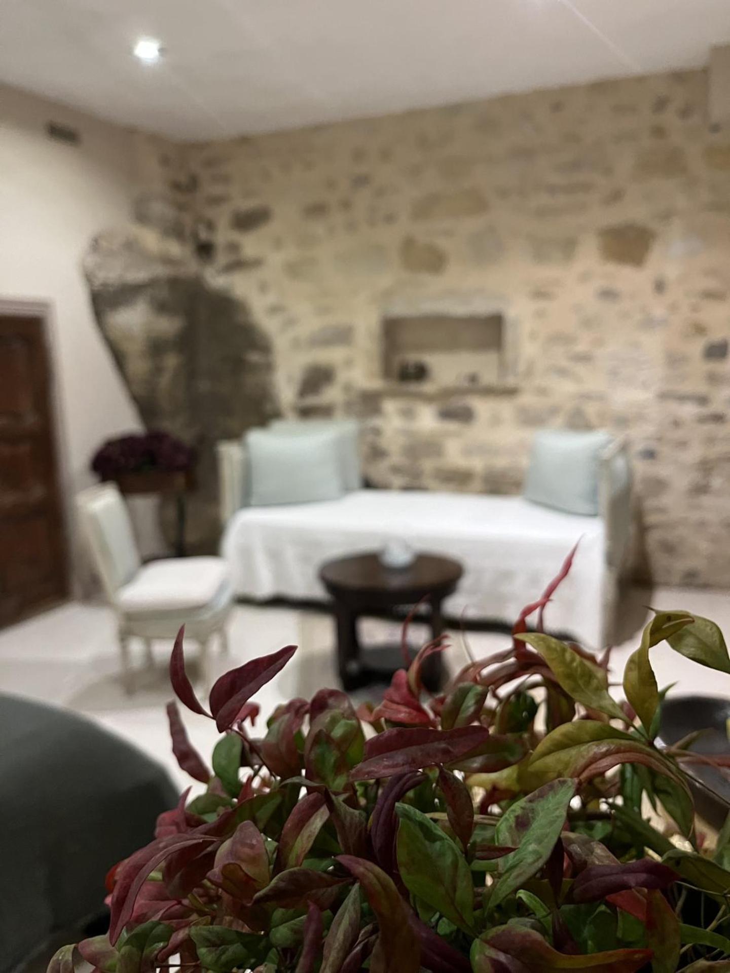 Le Logis D'Hortense Vic-le-Comte Eksteriør billede